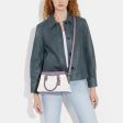 Coach Outlet Mini Darcie Carryall In Signature Canvas Fashion